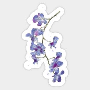 Watercolor orchid Sticker